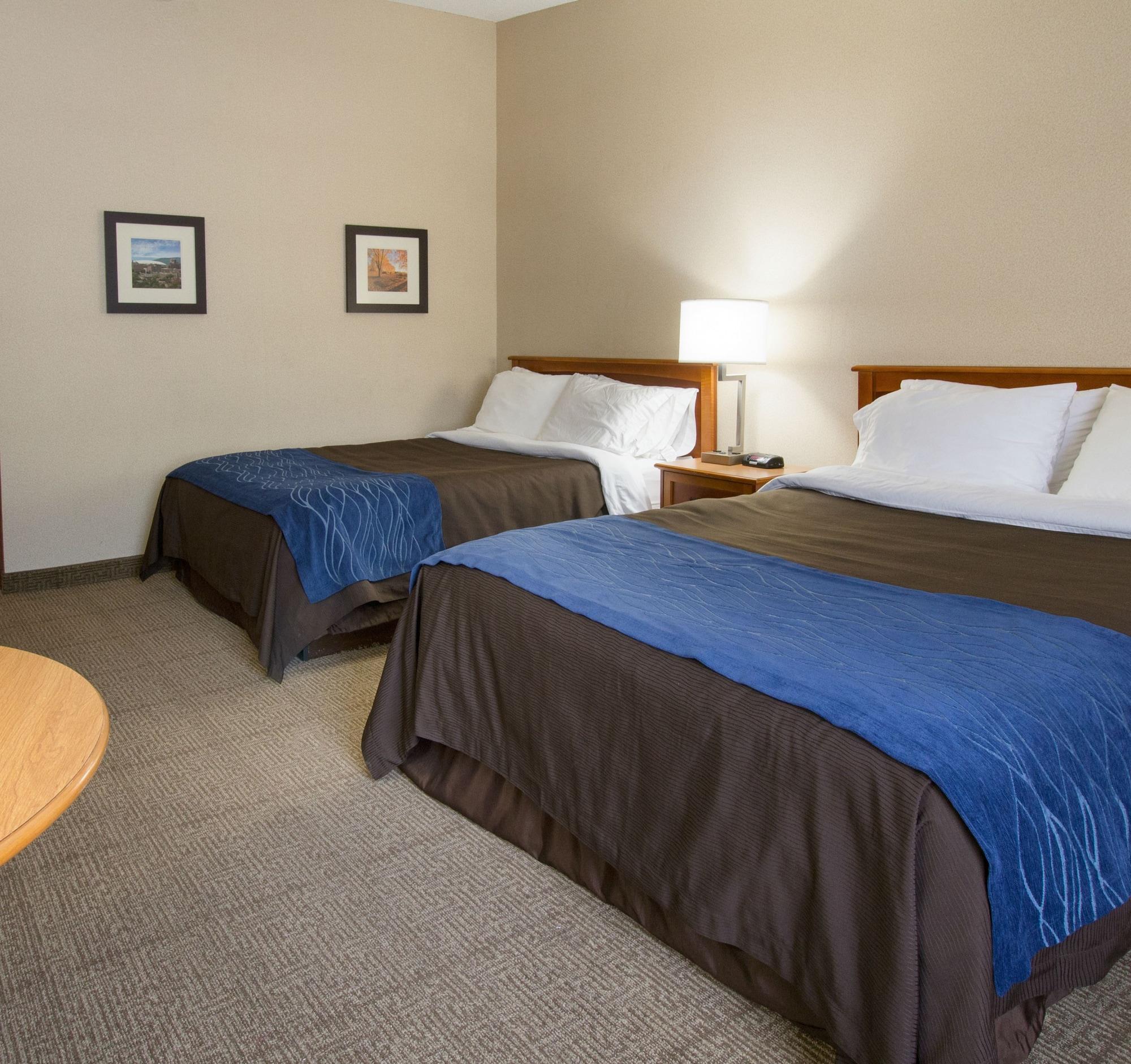 Comfort Inn & Suites Syracuse-Carrier Circle East Syracuse Luaran gambar