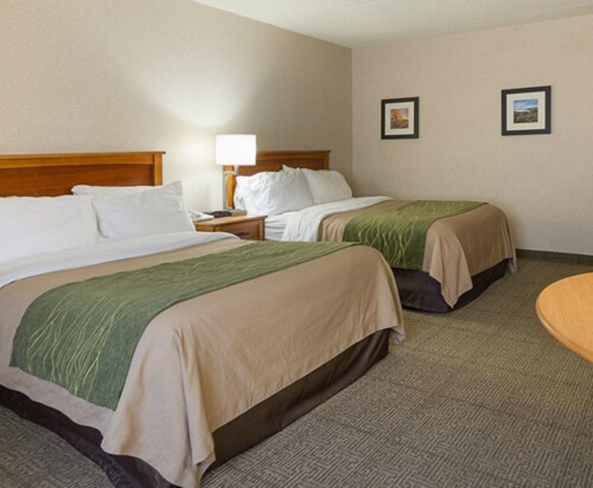 Comfort Inn & Suites Syracuse-Carrier Circle East Syracuse Luaran gambar