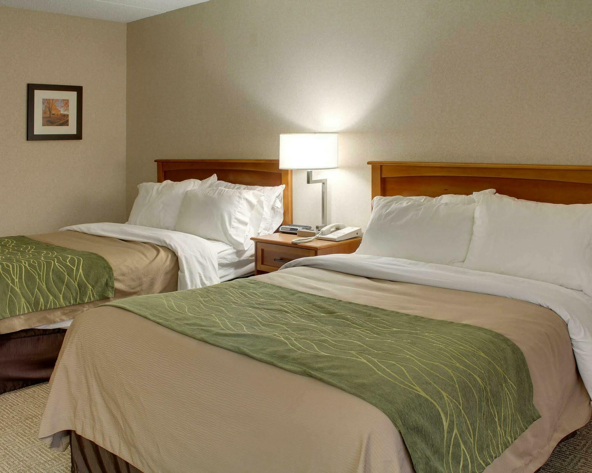 Comfort Inn & Suites Syracuse-Carrier Circle East Syracuse Luaran gambar
